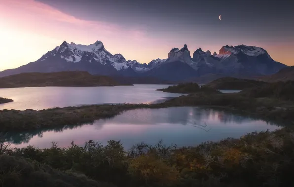 Картинка вода, горы, утро, Чили, национальный парк, Патагония, Torres del Paine, Анна Политова