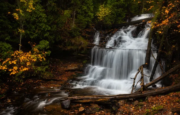 Картинка осень, лес, водопад, Мичиган, каскад, Michigan, Wagner Falls, Водопад Вагнер, Wagner Creek