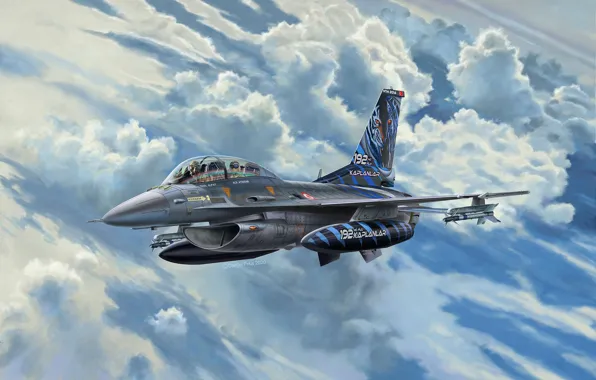 Картинка истребитель, Дания, Lockheed Martin, F-16D Fighting Falcon, Lockheed Martin F-16D Tigermeet