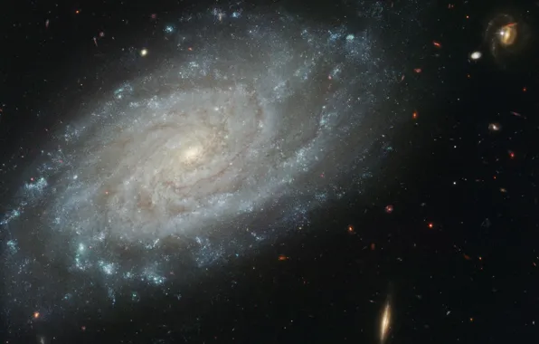 Картинка тёмная, галактика, ngc3370