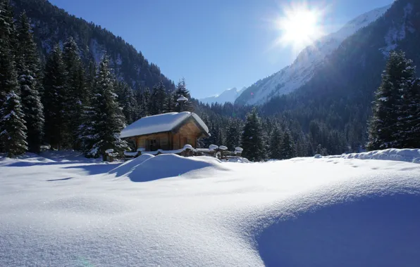 Картинка зима, солнце, лучи, снег, деревья, пейзаж, горы, природа, дом, ели, Альпы, хижина, леса
