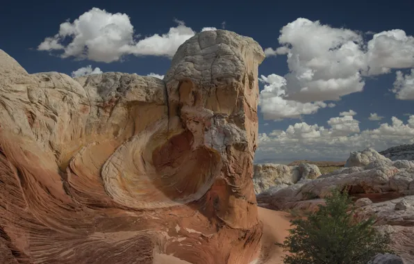 Картинка скала, Аризона, Седона, Rabbit Ears Rock Formation