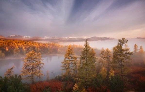 Картинка осень, лес, небо, облака, деревья, горы, туман, озеро, берег, вид, красота, даль, утро, желтые, дымка, …