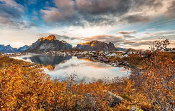 Картинка осень, небо, облака, пейзаж, горы, природа, отражение, камни, листва, Норвегия, домики, водоем, берега, рябина, кустарники, …