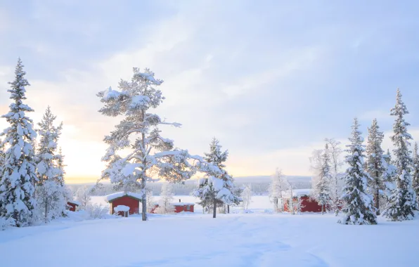 Картинка зима, снег, деревья, пейзаж, зимний, house, хижина, landscape, nature, beautiful, winter, snow, cottage