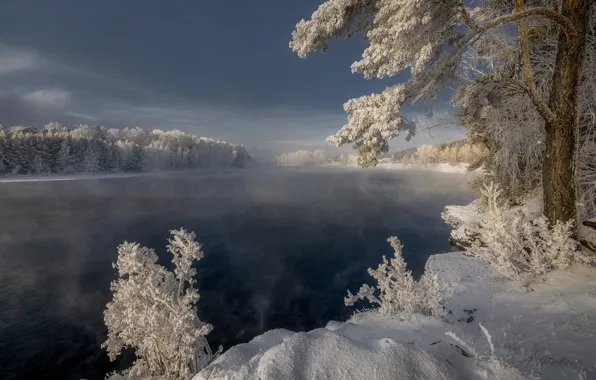 Картинка зима, иней, снег, деревья, пейзаж, природа, река, мороз, пар, Енисей, Александр Макеев