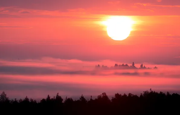 Картинка небо, солнце, облака, деревья, закат, Финляндия