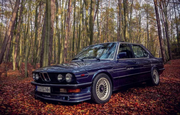 Картинка BMW, E28, ALPINA, 1985, B9/3.5