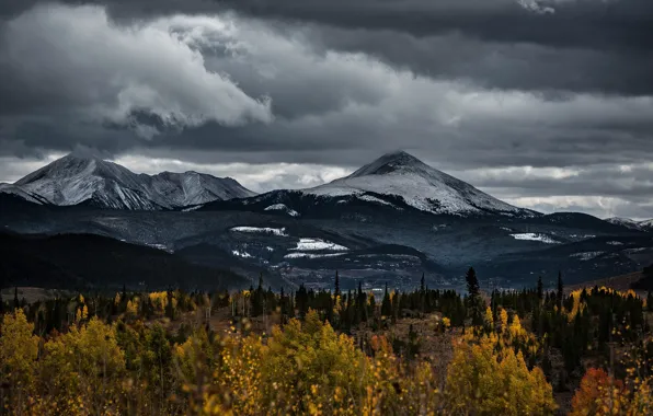 Картинка осень, лес, облака, снег, горы, тучи, пасмурно, холмы, склоны, вершины, снежные, хмурое небо