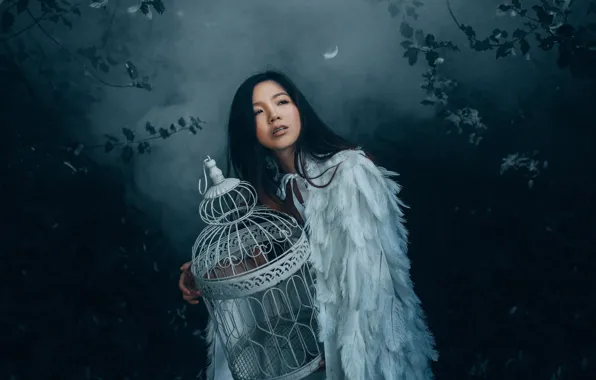 Картинка девушка, ночь, природа, туман, темный фон, птица, крылья, ангел, клетка, перья, азиатка, сумерки