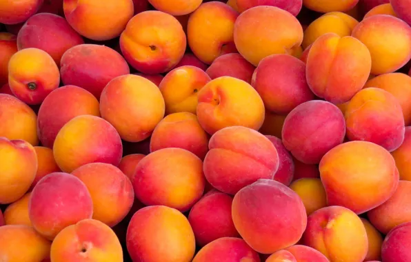 Картинка фрукты, много, абрикосы, спелые, румяные