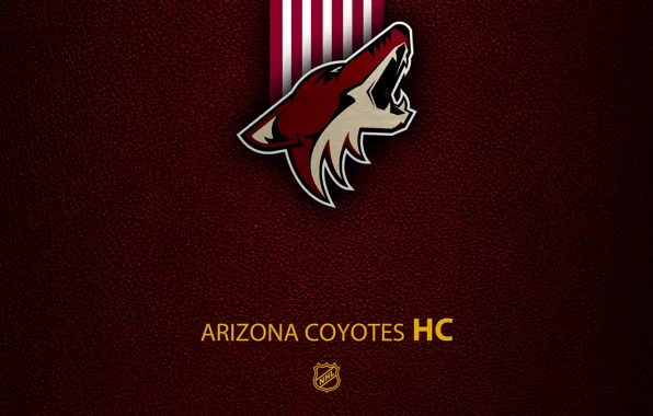 Картинка wallpaper, sport, logo, NHL, hockey, Arizona Coyotes