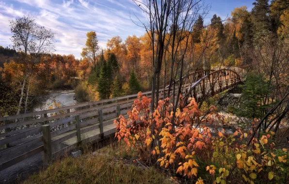 Картинка осень, пейзаж, мост, природа, река, Канада, леса