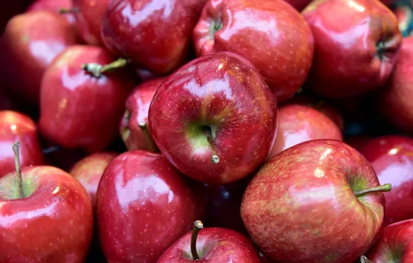 Картинка яблоки, блеск, красные, много, боке, сочные