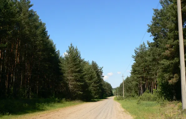 Картинка дорога, лес, Природа, родина, Беларусь, моё фото