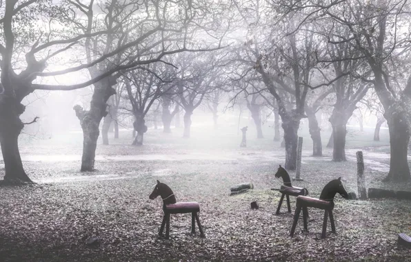 Картинка туман, парк, кони