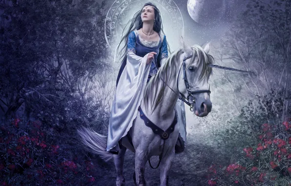 Картинка девушка, цветы, ночь, луна, лошадь, сад, нимб, фото арт