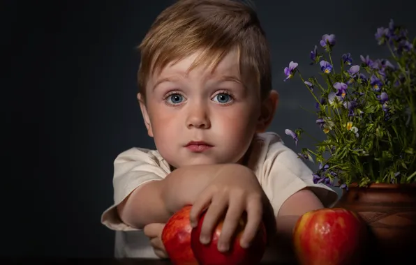 Картинка цветы, яблоки, портрет, мальчик, ребёнок, мальчуган, Александр Якименко