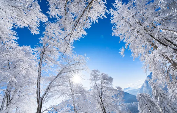 Картинка зима, иней, небо, деревья, горы, Австрия, Альпы