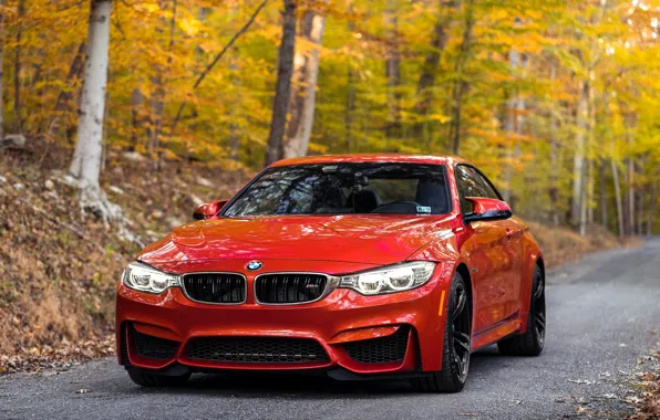 Картинка BMW, Autumn, Road, RED, Forest, F80