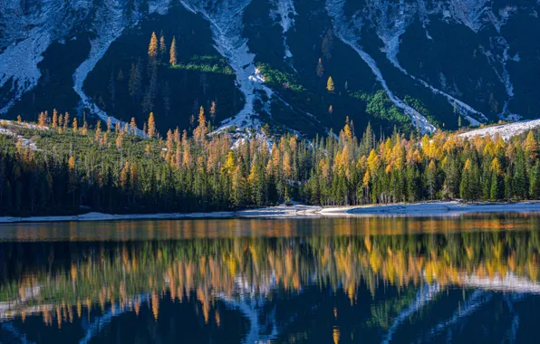 Картинка осень, лес, горы, озеро, отражение, Италия, Italy, Доломитовые Альпы, Южный Тироль, South Tyrol, Dolomites, Lake …