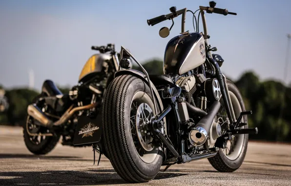 Картинка Harley-Davidson, Custom, Motorcycle, Thunderbike