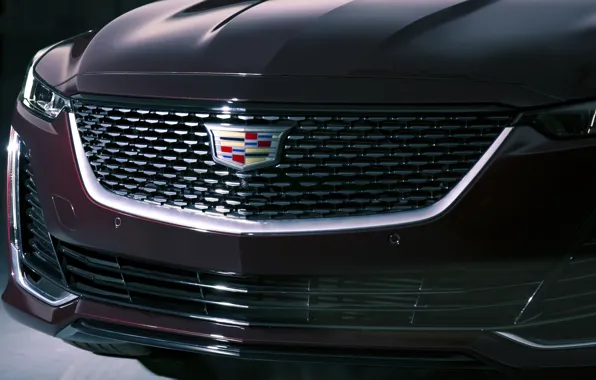 Картинка Cadillac, 2020, Premium Luxury, CT5