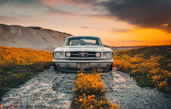 Картинка Ford, Shelby, Ford Mustang, road, sunset, custom, GT350