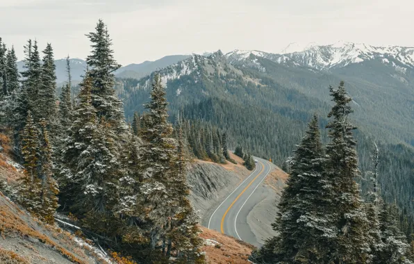Картинка зима, дорога, лес, горы, Аляска