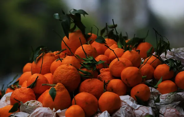 Картинка листья, бумага, урожай, фрукты, оранжевые, много, размытый фон, мандарины, обертка, цитрусовые