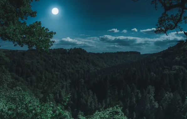Картинка Moon, Nature, Night, Forest, Trees