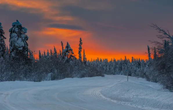 Картинка зима, дорога, снег, деревья, закат
