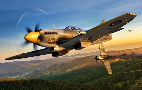 Картинка истребитель-бомбардировщик, Focke-Wulf, Supermarine, WWII, Fw.190D-9, Spitfire Mk.XIVe