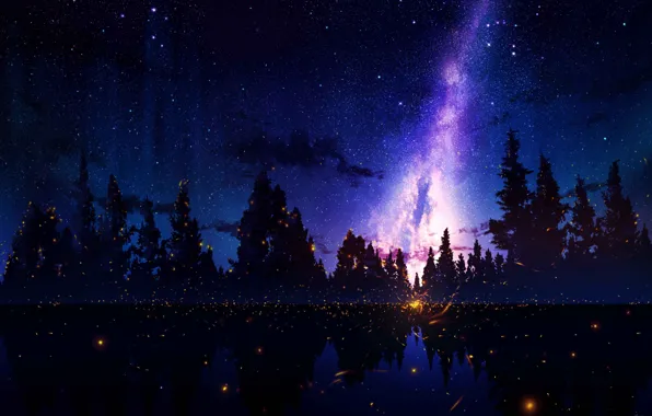 Картинка небо, ночь, озеро, сияние, ели, by JW