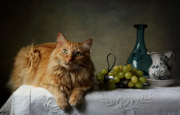 Картинка кот, рыжий, виноград, ваза