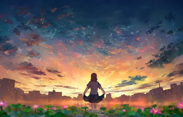 Картинка девушка, закат, цветы, город, пруд, звездопад