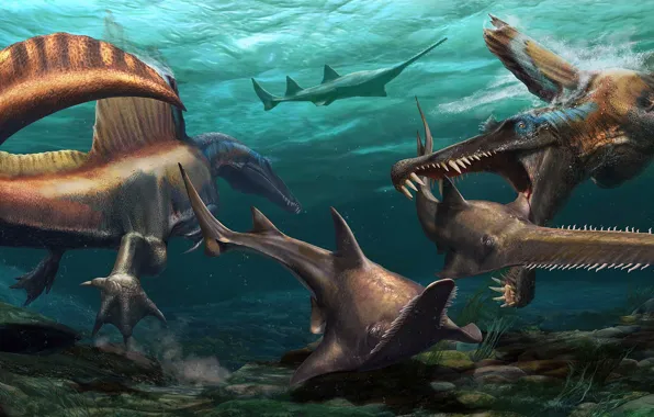 Картинка Подводный мир, Охота, Динозавры, Спинозавр, Древние животные, Онхопристис, Доисторические морские животные, Spinosaurus aegyptiacu, Onchopristis, Рыба-пила