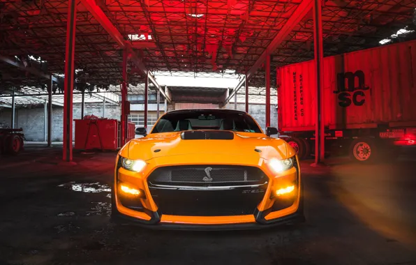 Картинка Mustang, Ford, GT500, Lights, Yellow, Face