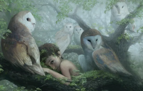 Картинка туман, дерево, мальчик, совы