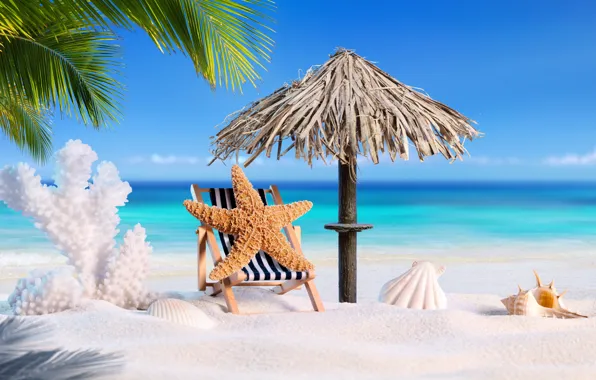 Картинка песок, море, пляж, лето, звезда, отпуск, ракушки, summer, beach, sand, vacation, palms, tropical, starfish, seashells