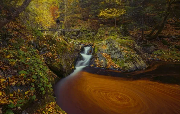 Картинка осень, лес, вода, природа, камни, мостик, Еди Адамов