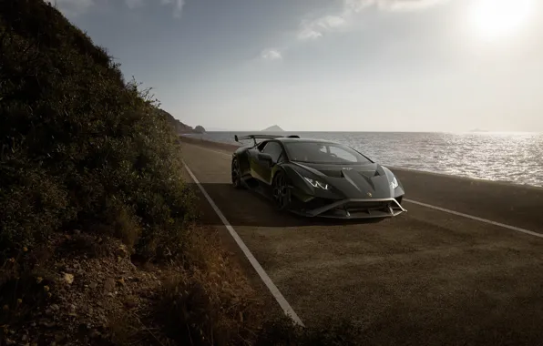 Картинка Lamborghini, Black, Huracan STO