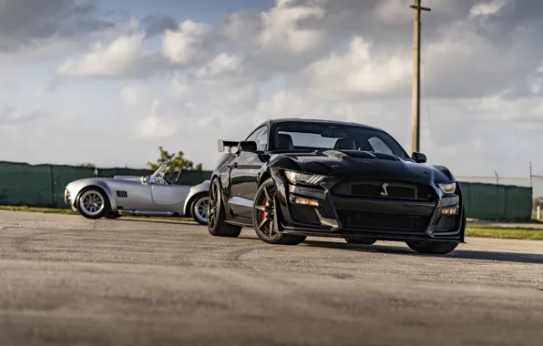 Картинка Mustang, Ford, Shelby, GT500, Cobra, Silver, Duet