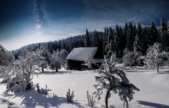 Картинка зима, снег, деревья, пейзаж, елки, хижина, forest, trees, landscape, winter, snow, village, hut