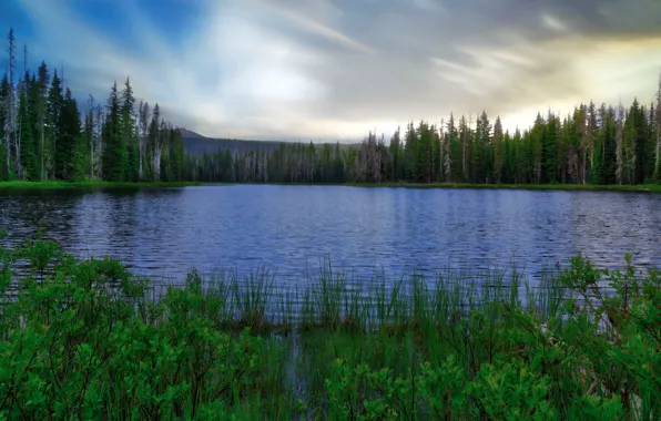 Картинка United States, Oregon, lake, Belknap Springs, Luminar