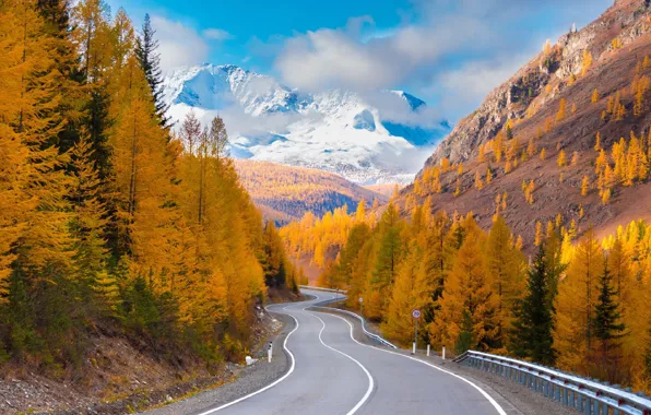 Картинка дорога, осень, лес, облака, горы, Алтай