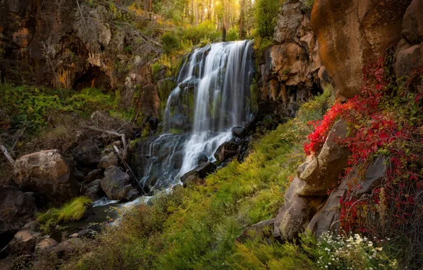 Картинка лес, скала, водопад, Аризона, Arizona, White Mountains
