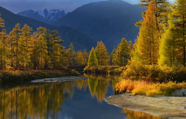 Картинка осень, лес, вода, свет, горы, природа, река, Максим Евдокимов
