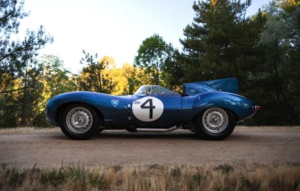 Картинка номер, вид сбоку, гоночный автомобиль, Jaguar D-Type