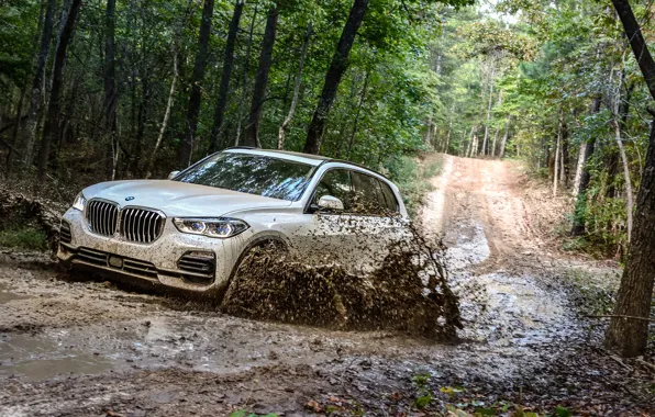 Картинка грязь, бездорожье, 2018, BMW X5, кроссовер, XDrive40i